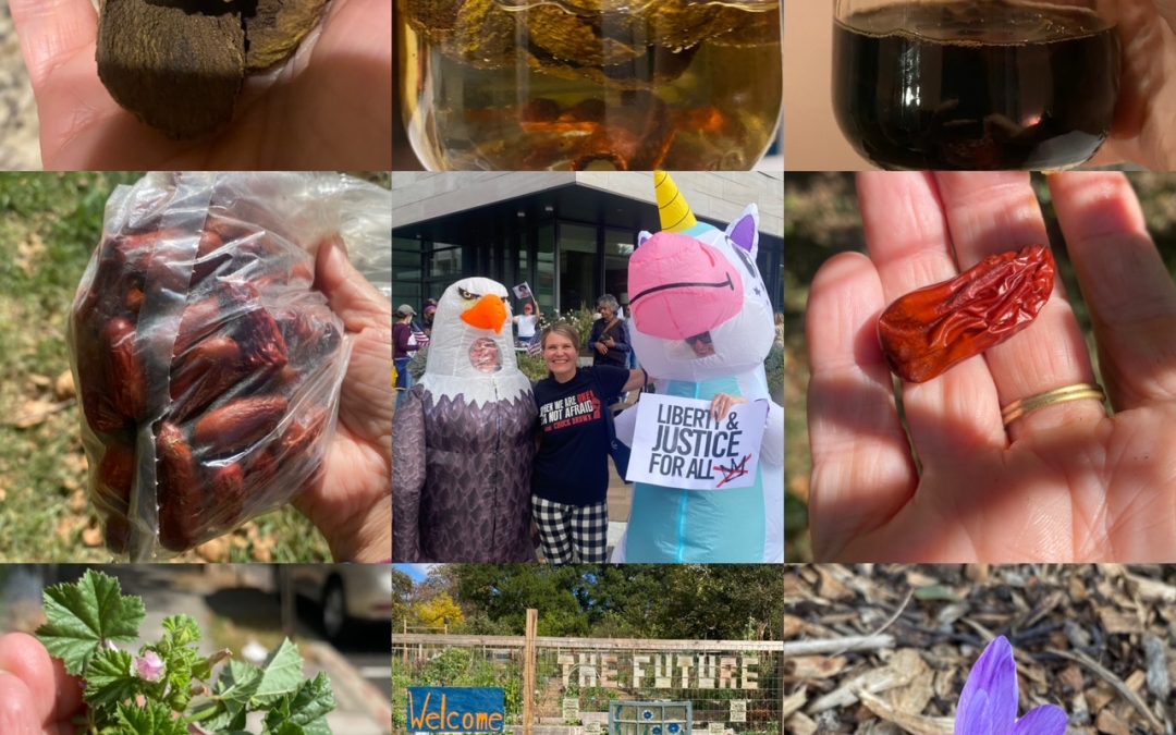 Free DC, Free Palestine, Free Walk!