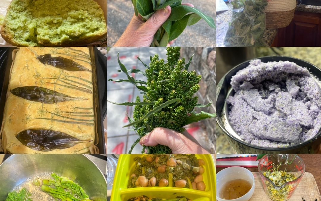 The Wild Life in April: Can We Eat the Natives?