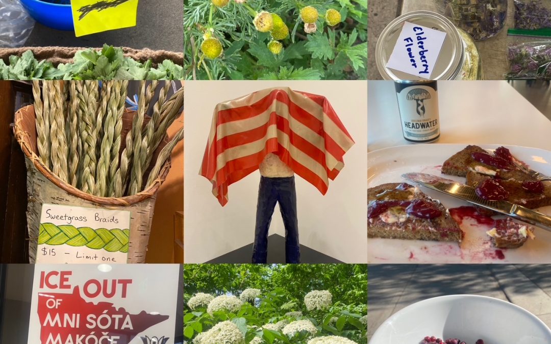 The Wild Life in July: Minneapolis & Food Freedom