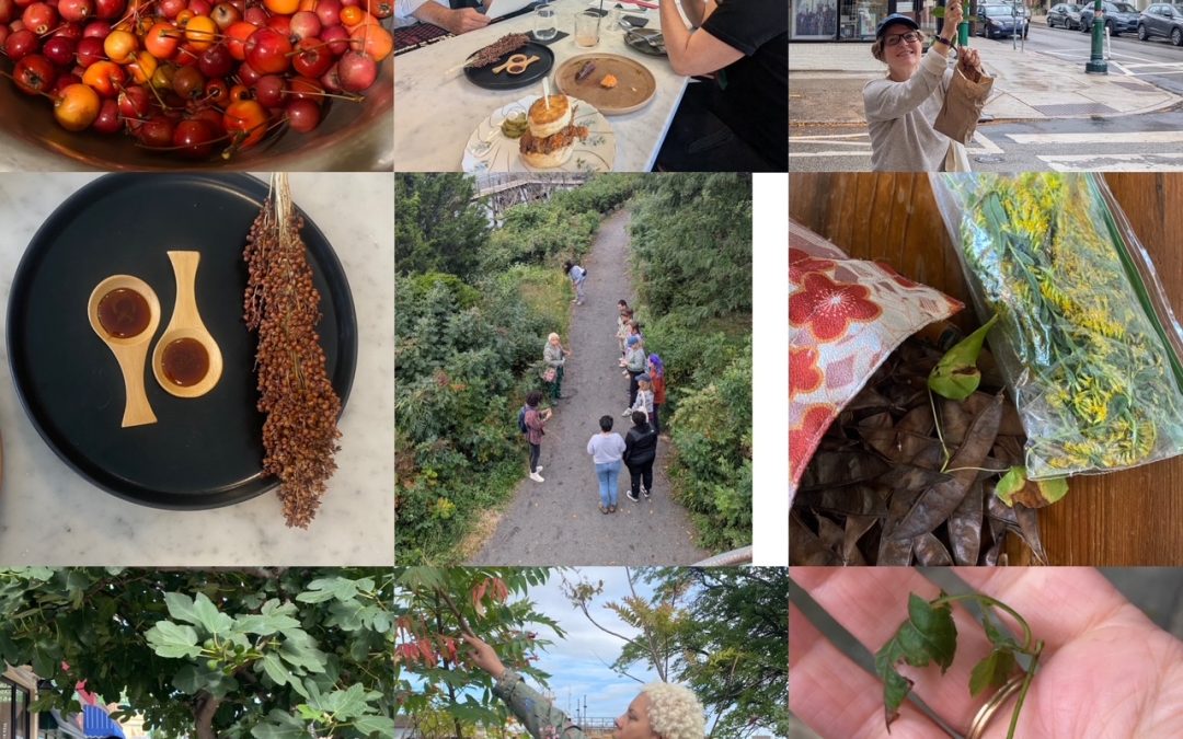 The Wild Life in October: Philly Fun & Fall Fungi